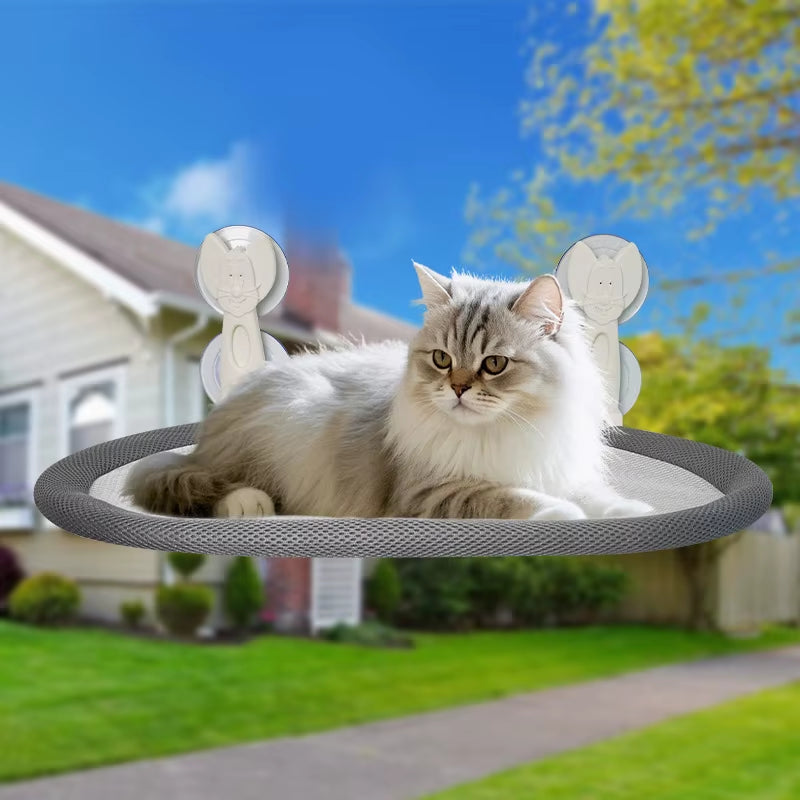 Wall-Mounted Cat Hammock