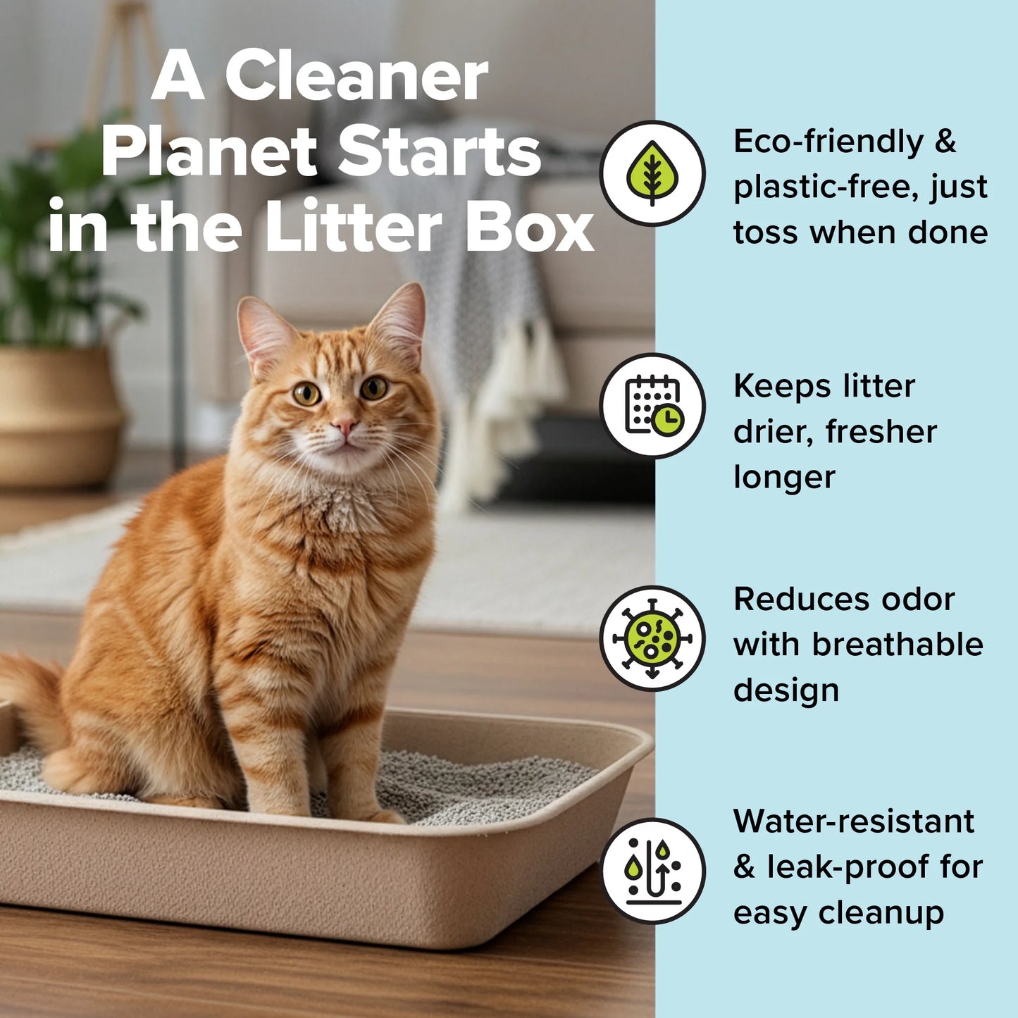 Caja De Arena Desechable Ecológica Grande (Paquete De 6)
